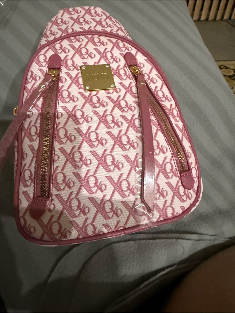XOXO Pink Logo Print Mini Backpack with Gold Plate